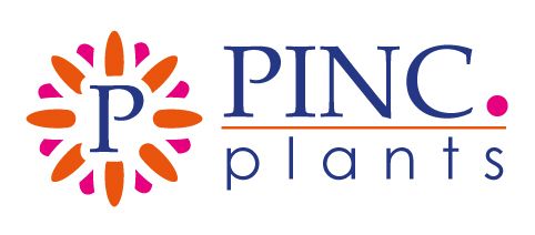 Pinc. Plants